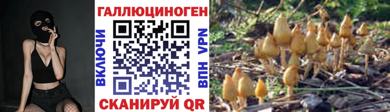 цена наркотик  Новосокольники  mega как войти  Галлюциногенные грибы Magic Shrooms 